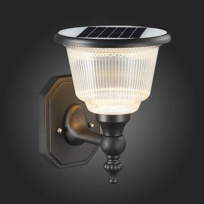SL9502.401.01 Светильник уличный настенный ST-Luce Черный/Черный, Прозрачный LED 1*2W 3000-6000K