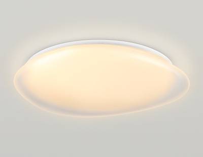 Светильник светодиодный RGB с пультом  FZ1615 FR матовый IP20 60W 3000-6500K+RGB 510*100 (ПДУ ИК)