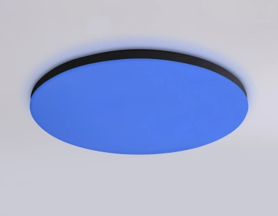 Потолочный светодиодный светильник с Wi-Fi Яндекс Алисой/Tuya/Smart Home/Alexa FZ2004 BK черный IP54 20W 3000K-6500K+RGB D300*55 (ПДУ ИК)