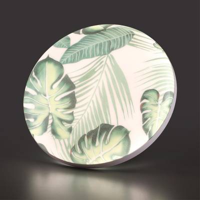 7748/EL PALE SN 125 Светильник светодиодный потолочный пластик/белый/зеленый LED 70Вт 3000-6000К D480 IP43 пульт ДУ FLORI