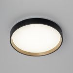 Citilux ETALON CL750241 LED Светильник с подсветкой Чёрный+Золото