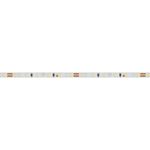 Светодиодная лента MICROLED-M120-4mm 24V White6000 (9.6 W/m, IP20, 2216, 5m) (Arlight, узкая)