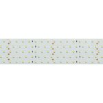Светодиодная лента RT 2-2500 24V Cool 8K 5x2 (2835, 875 LED, LUX) (Arlight, 36 Вт/м, IP20)