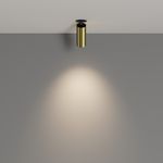Потолочный светильник FOCUS LED 4000K 12W 50°, C053CL-L12W4K-W-BS. TM Maytoni