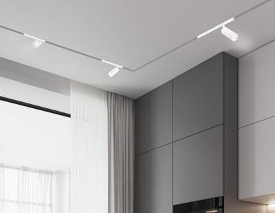 Светильник светодиодный диммируемый для шинопровода Magnetic 220V GL1231 WH белый IP20 24W 3000K-6400K 36° D65*140 (Без ПДУ)