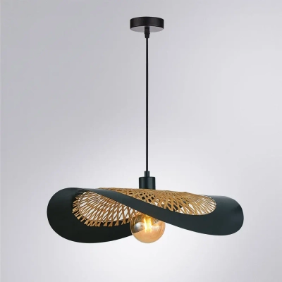 Подвесной светильник Arte Lamp WOODSTOCK A7059SP-1BK, 1хE27