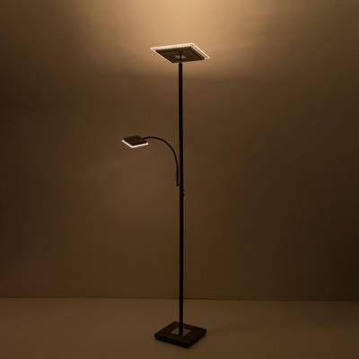 Citilux Харди CL802015 LED Торшер с диммером Кофейный