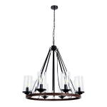 Подвесная люстра Arte Lamp DALIM A7014SP-8BK, 8хE14