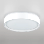 Citilux BOSS CL751250G LED RGB Светильник с пультом Белый