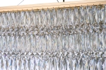 Люстра подвесная Arti Lampadari Elite Acquaro E 1.5.120x30.102 GP
