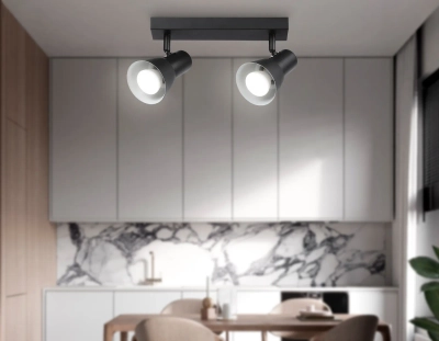 Светильник накладной TA13117/2 BK/WH черный/белый GU10/2 max 12W 350*85*150