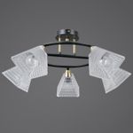 IL0850-5CSQ-25BKAB ELITE светильник потолочный