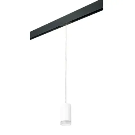 PRORP43630 Светильник д/1-фазн трека RULLO HP16 (214436+595857+202430) Lightstar