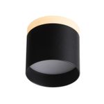 ST102.402.12 Светильник потолочный Черный LED 1*12W 3000K 936Lm Ra&gt;80 120° IP20 D100xH90 170-240V