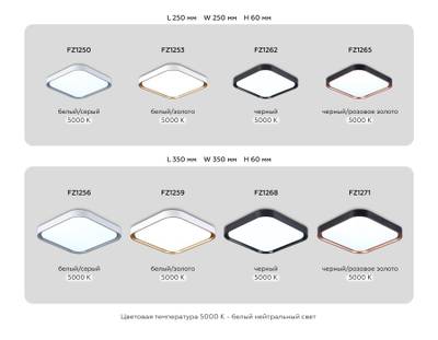 Потолочный светодиодный светильникFZ1262 BK черный 18W 5000K 250*250*60 (Без ПДУ)