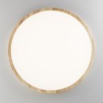 Citilux БейсикCL738322V LED Светильник накладной Клён