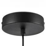 612117 Люстра PALERMO 8W LED 350LM G ЧЕРНЫЙ/ПРОЗРАЧНЫЙ 3000K Lightstar
