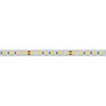 Светодиодная лента RT-B96-10mm 24V White6000 (23 W/m, IP20, 5060, 5m) (Arlight, Открытый)