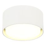 ST164.502.01 Светильник потолочный Белый GX53 1*50W IP20 D85xH40 220V Без ламп