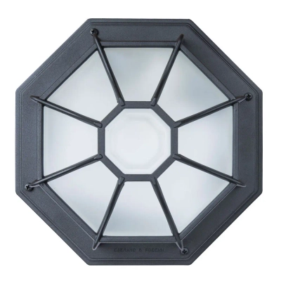 Уличный потолочный светильник Arte Lamp PEGASUS A3100PL-1BK, 1хE27