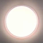7776/ELN PALE SN 110 Светильник пластик/белый LED 76Вт 3000/4000/6000К D500 IP43 CCT JOLLY