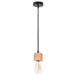 Подвесной светильник Arte Lamp MARK A7048SP-1BK, 1хE27
