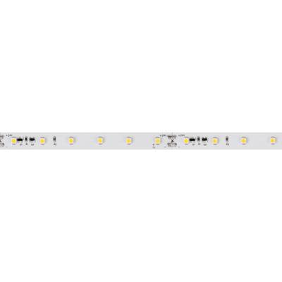 Светодиодная лента RT-20000 24V Day4000 (3528, 60 LED/m, 20m) (Arlight, 4.8 Вт/м, IP20)