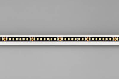 Лента RT-5000-2835-160-24V Day4000 (Black 8mm, 12W/m, IP20) (Arlight, -)