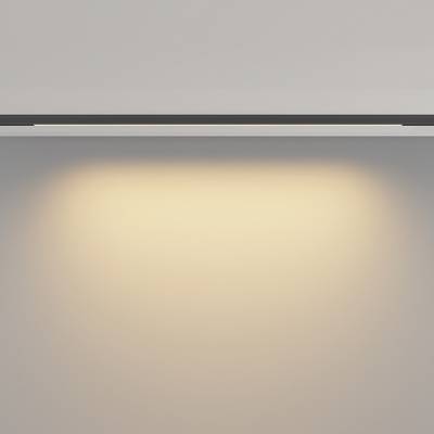 Трековый светильник Basis Levity 2700К 10Вт 100°, TR190-1-10W2.7K-B. TM Maytoni