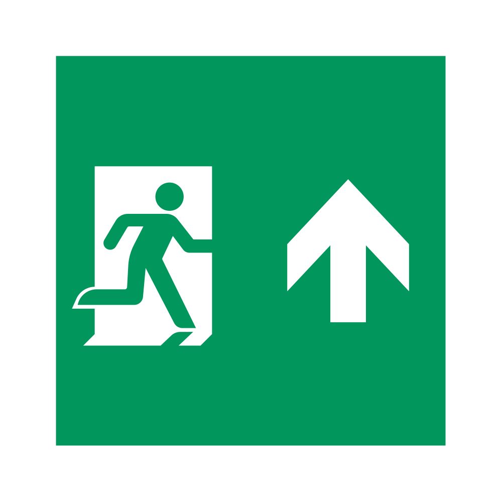 Пиктограмма EMGP-MARK-MA-UP (Человек, Вверх) (Arlight, Пластик)
