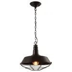 Подвесной светильник Arte Lamp PANDORA A9183SP-1BK, 1хE27