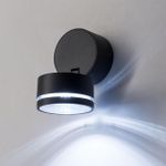 Citilux CLU0008R LED Уличный светильник поворотный Графит