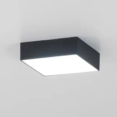 Citilux Тао CL712X122N LED Светильник потолочный с диммером Чёрный