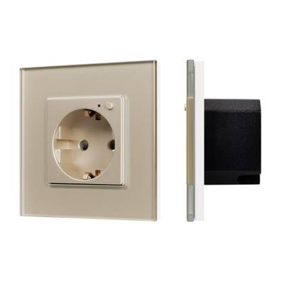 Розетка электрическая с Zigbee управлением SCT-OMALI-EUZB1-PL-GD (240V, 16A, Zigbee) (Arlight, -)