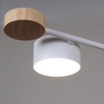 03751-0.3-10 WT+WOOD GX53 светильник потолочный