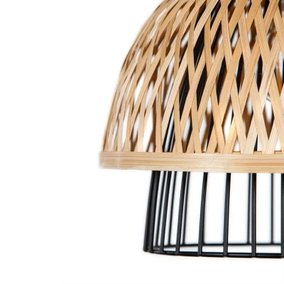 Подвесной светильник Arte Lamp WOODSTOCK A7070SP-1BK, 1хE27