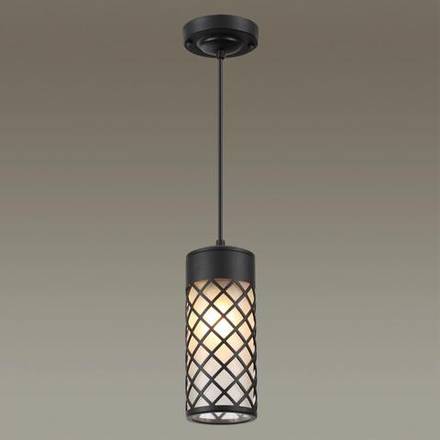 4834/1 NATURE ODL21 742 черный/стекло Ландшафтный светильник-подвес E27 1*60W IP44 DUNES