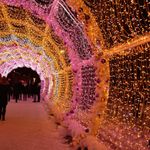 Светодиодная гирлянда ARD-STRING-CLASSIC-10000-WHITE-100LED-FLASH PINK (230V, 7W) (Ardecoled, IP65)