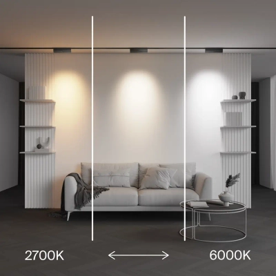 Трековый светильник Точки / Points Rot Exility X 2700-6000K 12Вт 40° Dim Dali2, TR242-4-12WTW-DD2-B. TM Maytoni
