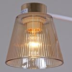 20560-0.3-02 WH+FG светильник потолочный