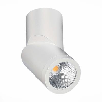 ST650.542.10 Светильник потолочный Белый LED 1*10W 4000K 800Lm Ra&gt;90 38° IP44 D60xH175 165-265V