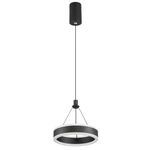 Citilux Дуэт CL719011 LED Подвесной светильник Чёрный
