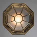 Уличный потолочный светильник Arte Lamp PEGASUS A3121PF-1BN, 1хE27