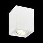 ST109.507.01 Светильник потолочный Мат. белый GU10 1*50W  L100xW100xH123 220V Без ламп