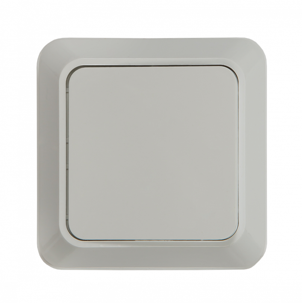 Выключатель 1-кл. ОП Bolleto 10А IP20 7021 бел. ASD / IN HOME 4680005959747