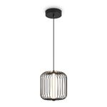 Подвесной светильник Sabi FR6131PL-L13B, LED. TM Maytoni