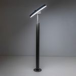 Citilux CLU03B1 LED Уличный парковый светильник поворотный Графит