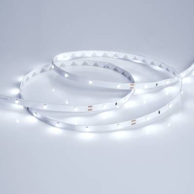 Светодиодная лента RT 2-5000 24V Cool 8K 0.5x (3528, 150 LED, LUX) (Arlight, 2.9 Вт/м, IP20)