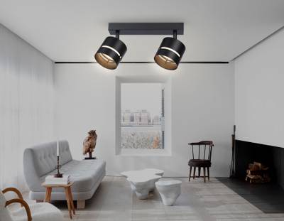 Светильник накладной TN71060/2 BK черный GX53/2 max 12W 280*85*150