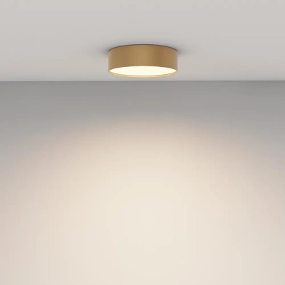 Потолочный светильник Зон / Zon 24 Вт 3000 К 120°, C032CL-24W3K-RD-MG. TM Maytoni